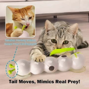 Dooee Toy Wack A Worm Post